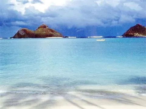 Awards Medal Type - Image 6